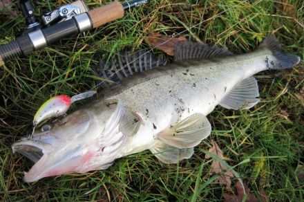 База Сямозеро