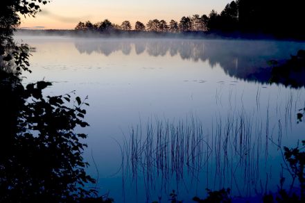 Гостевой дом Мунозеро