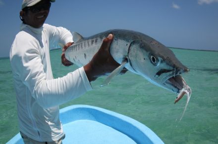 Прибрежная рыбалка в Пунта Аллен, Мексика
