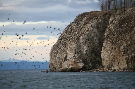 Байкальский хариус, сборный рыболовный тур.