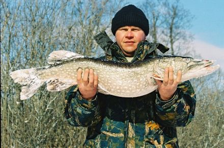 База отдыха "Разгуляй"