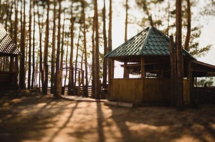 База отдыха "Разгуляй"