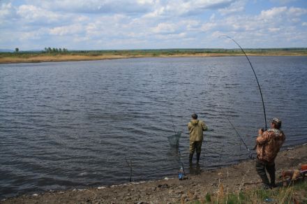 Рыбалка на Карасинских прудах