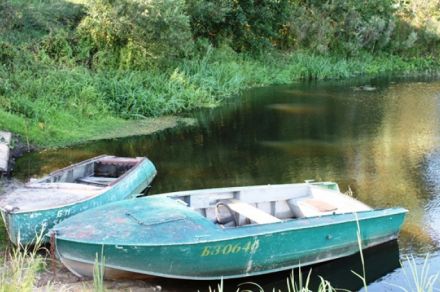 Агроусадьба Березинская