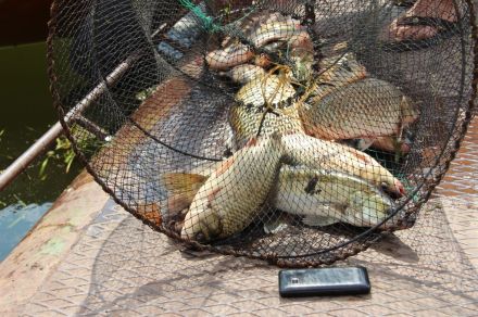 База отдыха "Изумруд"