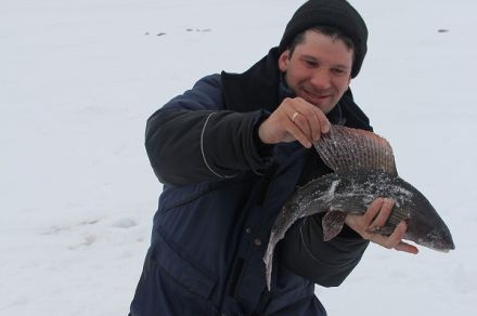 Зимняя рыбалка на хариуса Кольского полуострова