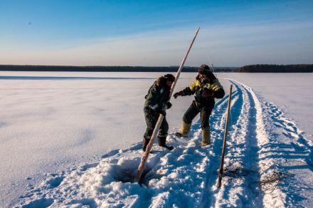 Однодневная подлёдная рыбалка на Онежском озере