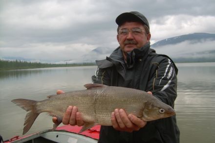 Рыбалка на плато Путорана. Озеро Кета