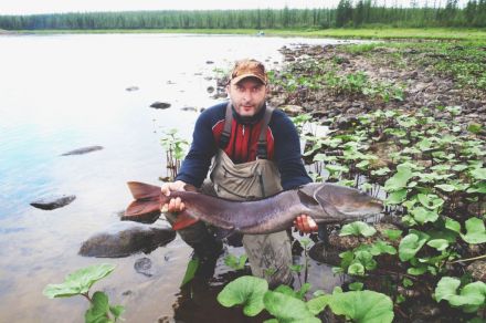 Охота на сибирского тайменя в Хабаровском крае, река Пильда