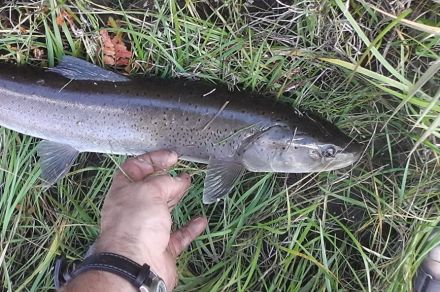 Рыболовно-туристический сплав по р. Дэлгер-Мурен