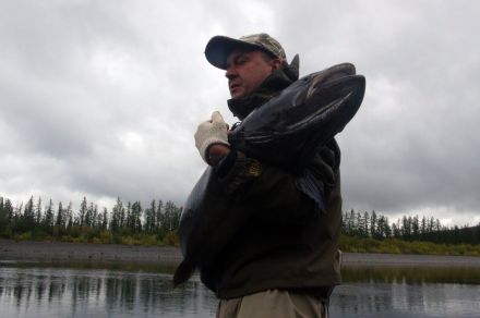 Охота на большого тайменя на реке Мойеро