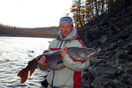 Охота на большого тайменя на реке Мойеро