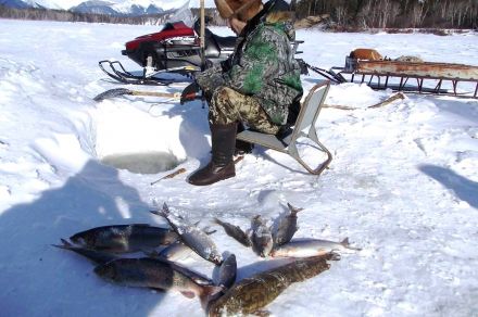 Зимняя рыбалка на Байкале и Верхней Ангаре