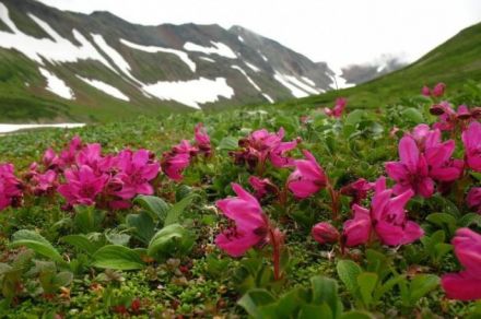 Рыболовный тур на реку Харлузова