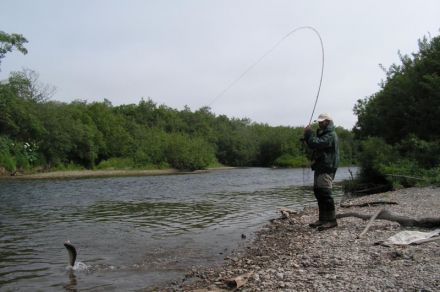 Рыболовный тур на Камчатку, река Большая Воровская