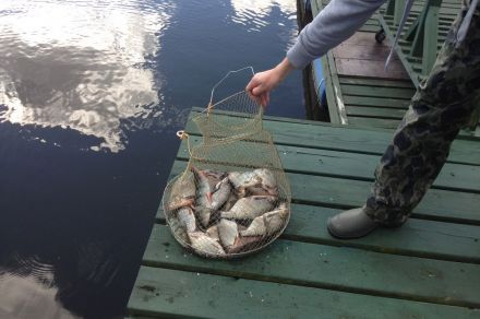 Гостевой дом "Jūrmala"