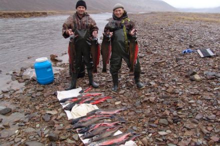 Уникальный тур по Чукотке. Река Паляваам-Чаунская Губа.