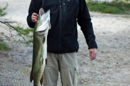 Коттеджный центр Руокка