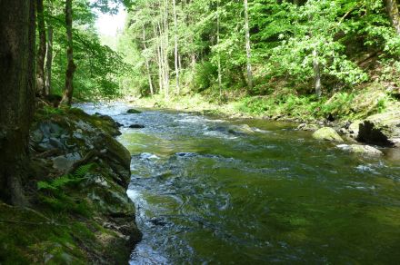 Рыболовный тур в центре Европы "Чешская рыбалка"