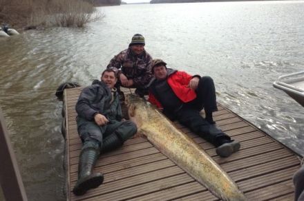 Рыболовная база на Ахтубе "Фаворит"