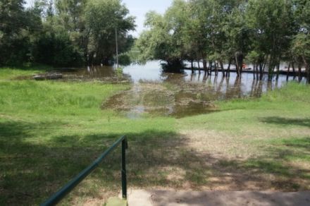 Рыболовная база на Ахтубе "Фаворит"