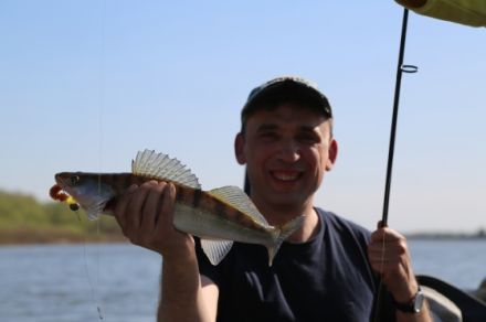 Рыболовная база на Ахтубе "Фаворит"