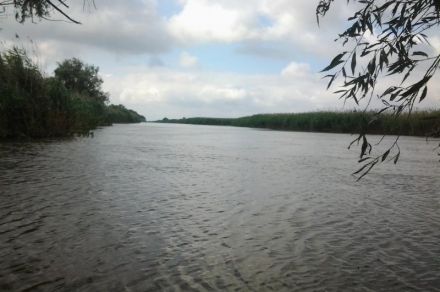 Рыболовно-охотничья база "Новинская"