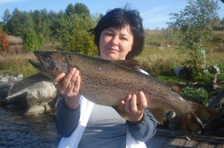 База отдыха Озеро Нот