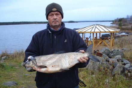 База отдыха Озеро Нот