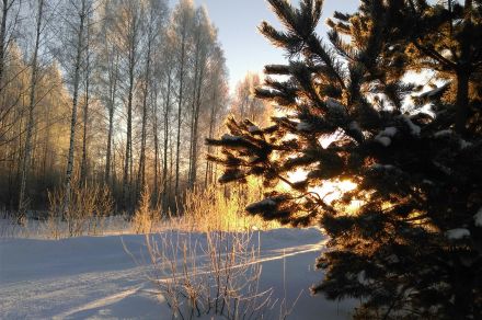 Гостевой дом на Селигере