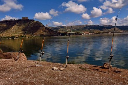 Рыболовный тур в Испании на реке Эбро