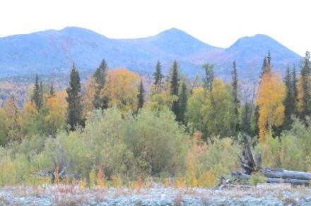 Полярный Урал, река Тыкотлова рыбалка Хариус