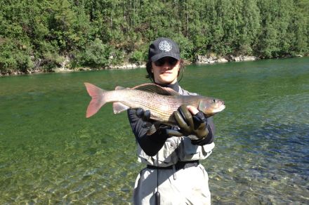 Полярный Урал, река Тыкотлова рыбалка Хариус