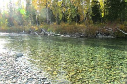 Полярный Урал, река Тыкотлова рыбалка Хариус