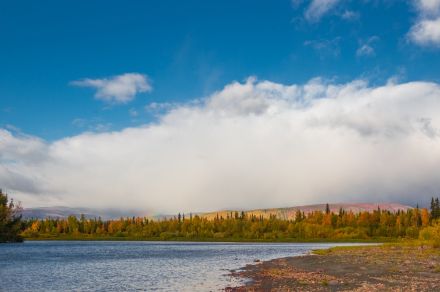 Полярный Урал, река Тыкотлова рыбалка Хариус
