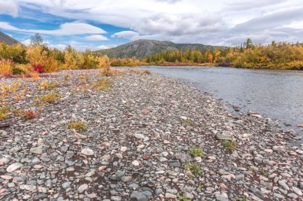 Полярный Урал, река Тыкотлова рыбалка Хариус