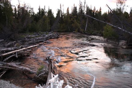 Полярный Урал, река Тыкотлова рыбалка Хариус