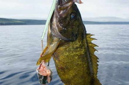 Морская рыбалка на Курилах