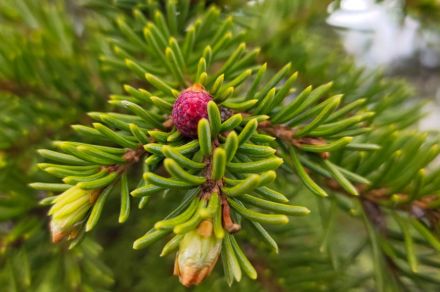 Рыбалка на плато Путорана. Озеро Кета