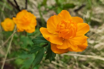 Рыбалка на плато Путорана. Озеро Кета