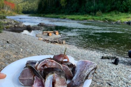 Рыбалка сплав в Красноярском крае