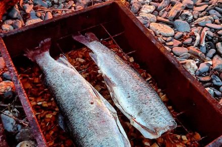 Рыбалка сплав в Красноярском крае