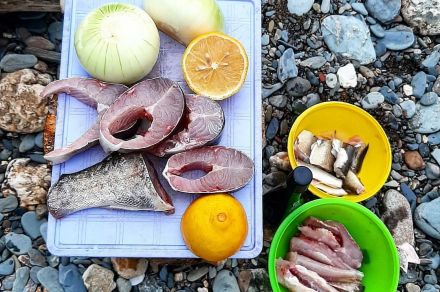 Рыбалка сплав в Красноярском крае