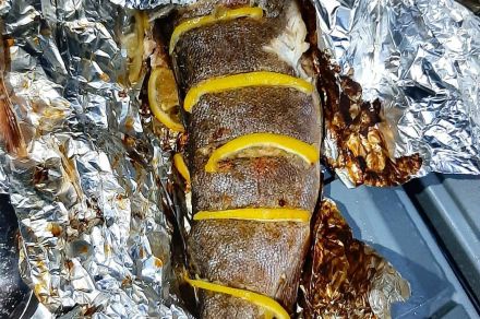 Рыбалка сплав в Красноярском крае