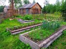 Тайменевая рыбалка на реке Тумнин