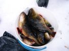 Зимняя рыбалка на Кольском полуострове, село Ловозеро