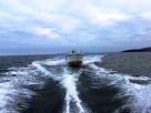 Морская рыбалка на катере Marinelab ML-777, Баренцево море