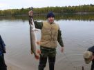 Рыболовная база Сибирская рыбалка