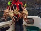 Рыболовная база Mivela Fishing