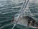 Морской рыболовный тур в Италии в Тирренском море
